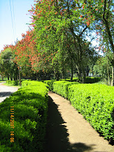 Estadio Municipal