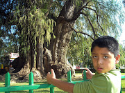 . donde se ve pasaron muy bien. Gracias a la colaboración del Primo, . (tule )
