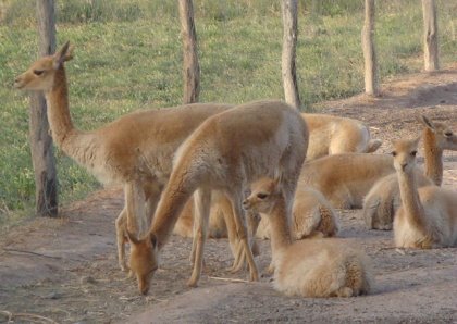 [DPSCamera____094.JPG]