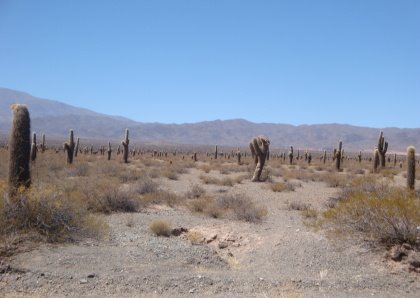 [DPSCamera____115.JPG]