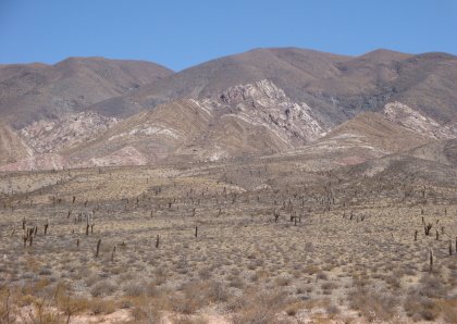 [DPSCamera____114.JPG]