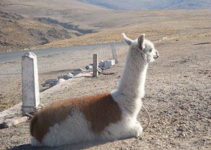 [DPSCamera____026.JPG]