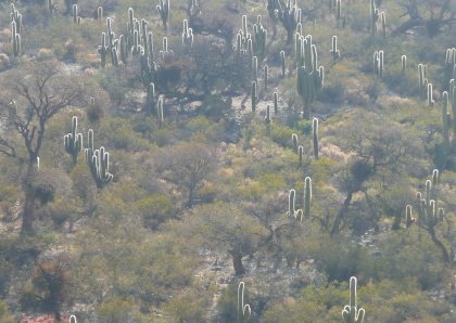 [DPSCamera____043_P1050546.JPG]