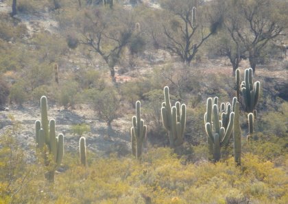 [DPSCamera____042.JPG]