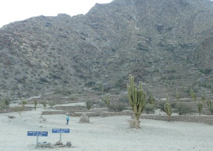 [DPSCamera____045_P1050555.JPG]