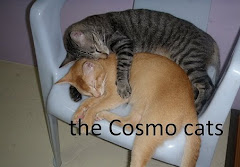 the Cosmo cats ... beware !!!