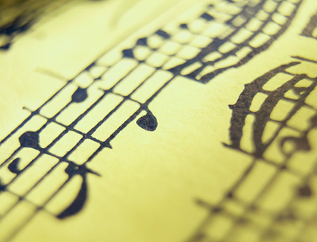 The Inside Of A Viginia