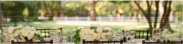 [green+wedding2.jpg]
