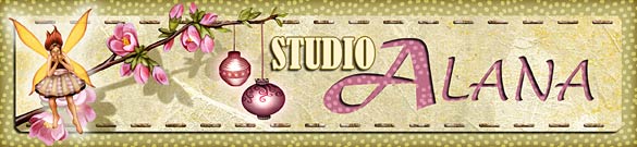 Studio Alana Blog