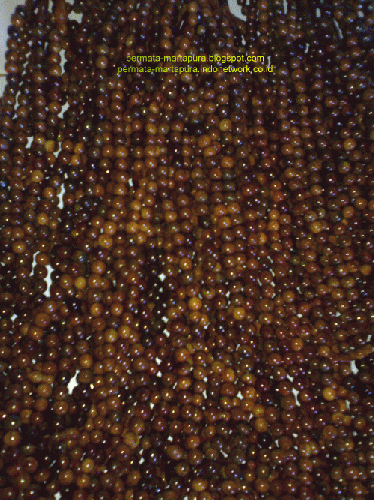 kayu kaukah