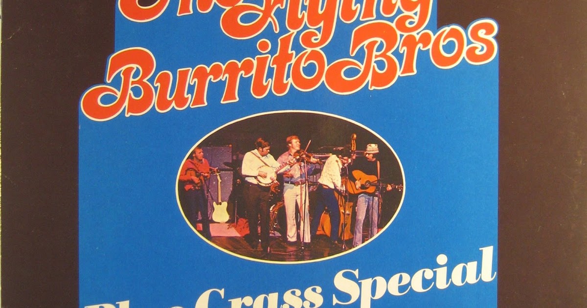Audio Archive The Flying Burrito Bros Blue Grass Special (Ariola