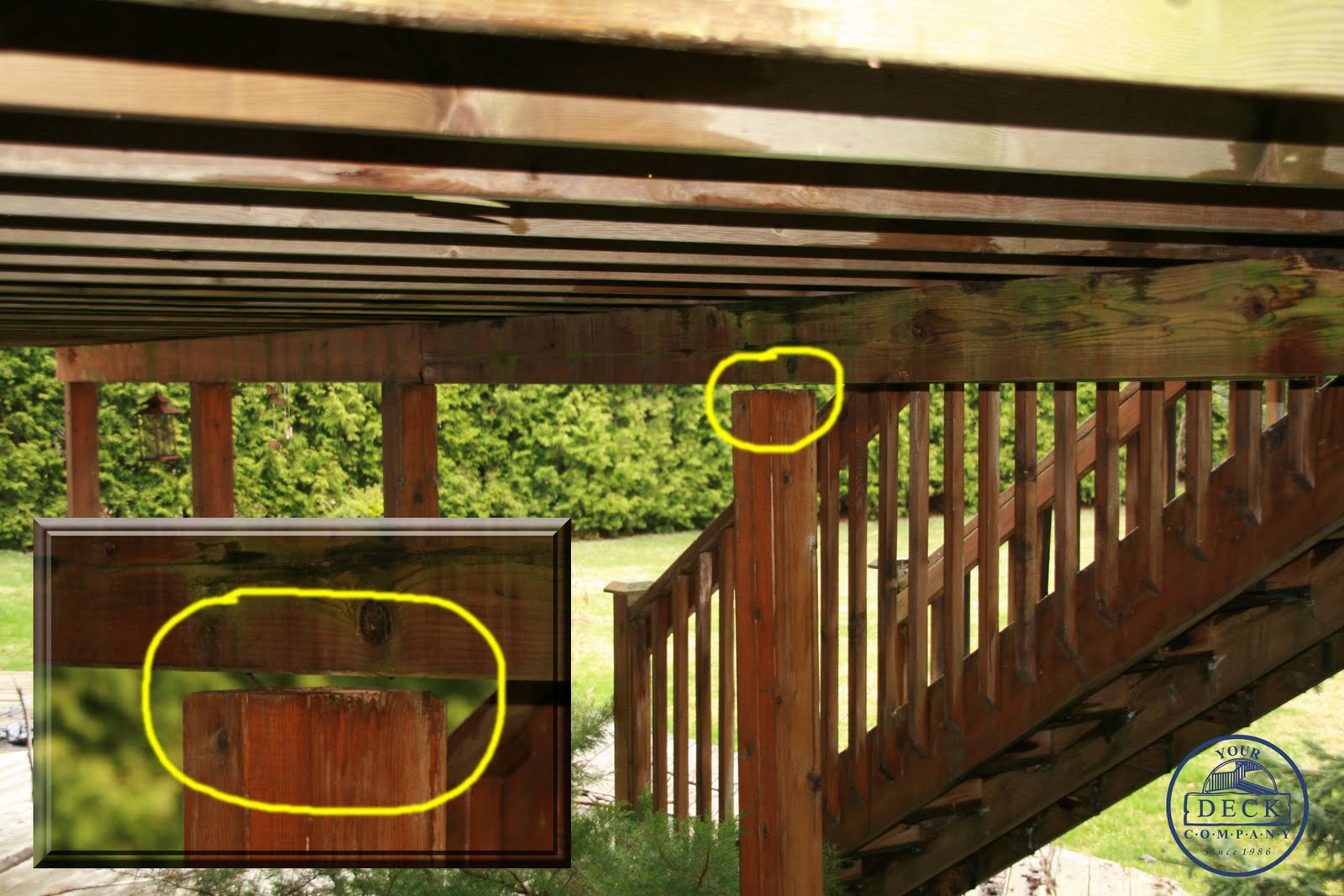 Your Deck Company May is Deck Safety Month