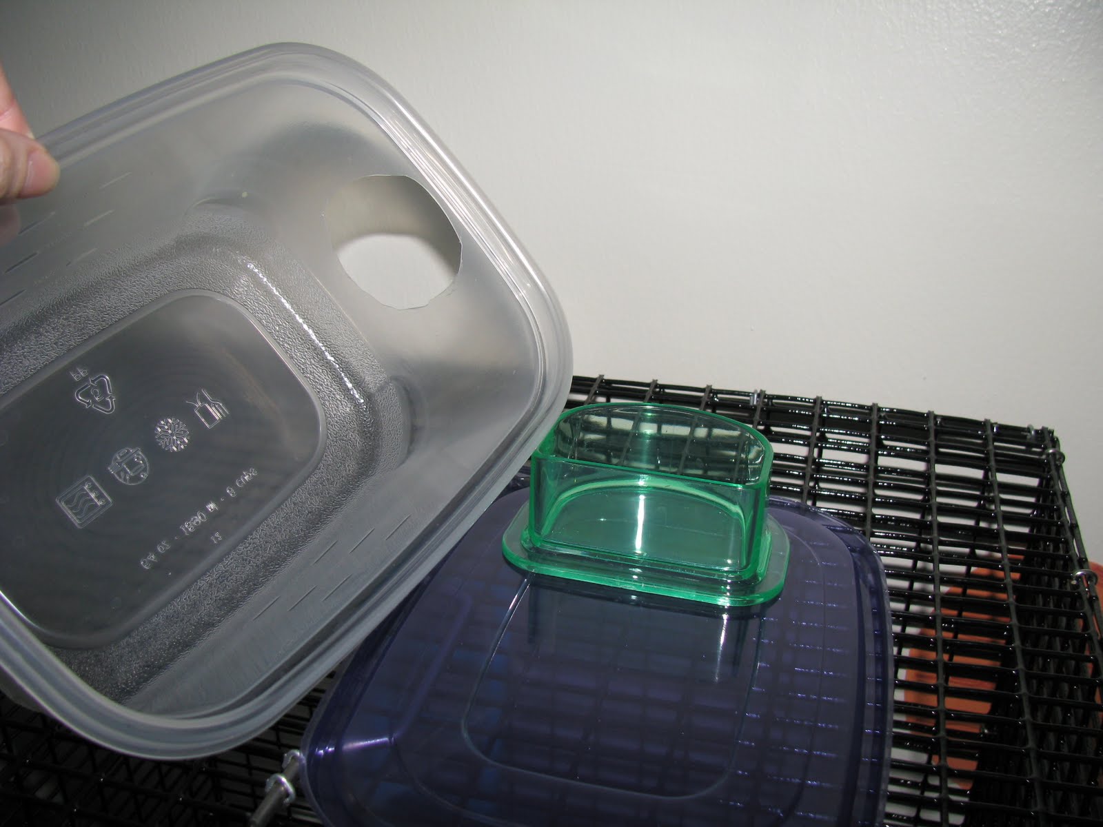 sugar glider dining room