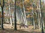 L'automne à la forêt des écrivains combattants