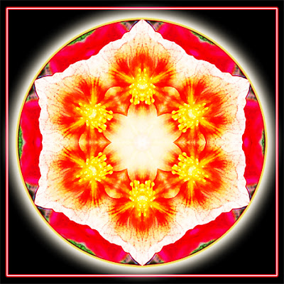 explosions of light mandala explosions of light