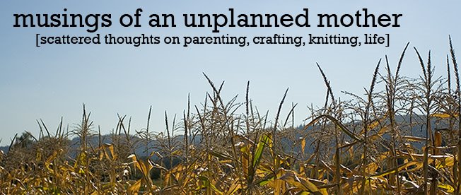 musings of an unplanned mother