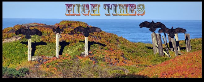 High Times