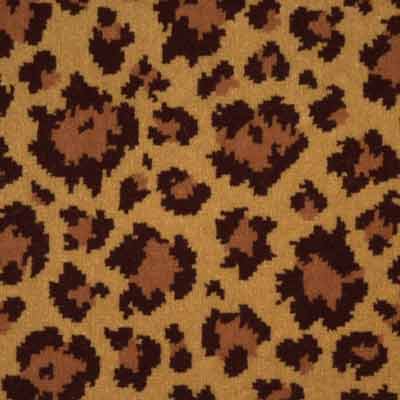 [castaingleopard.jpeg]