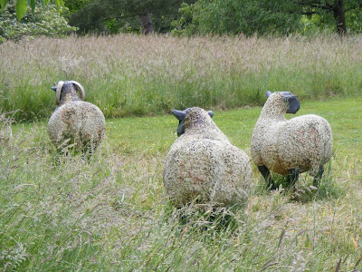 stone sheep