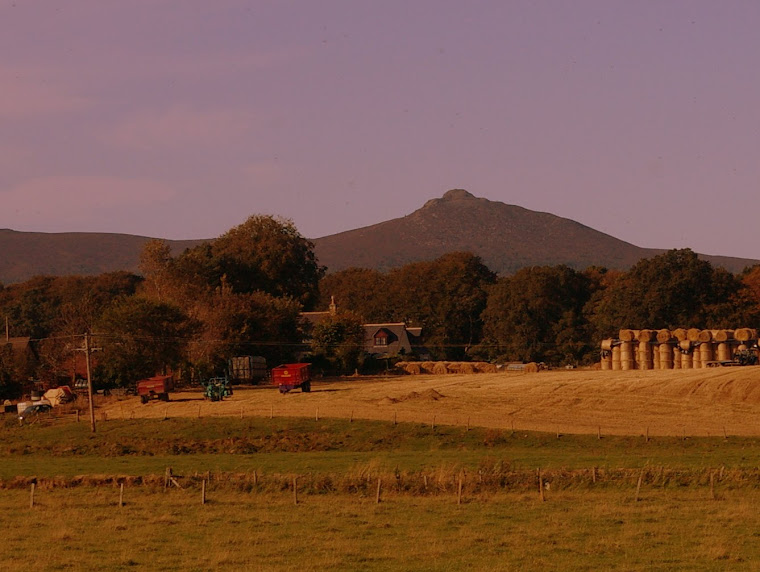 Harvest time on Donside