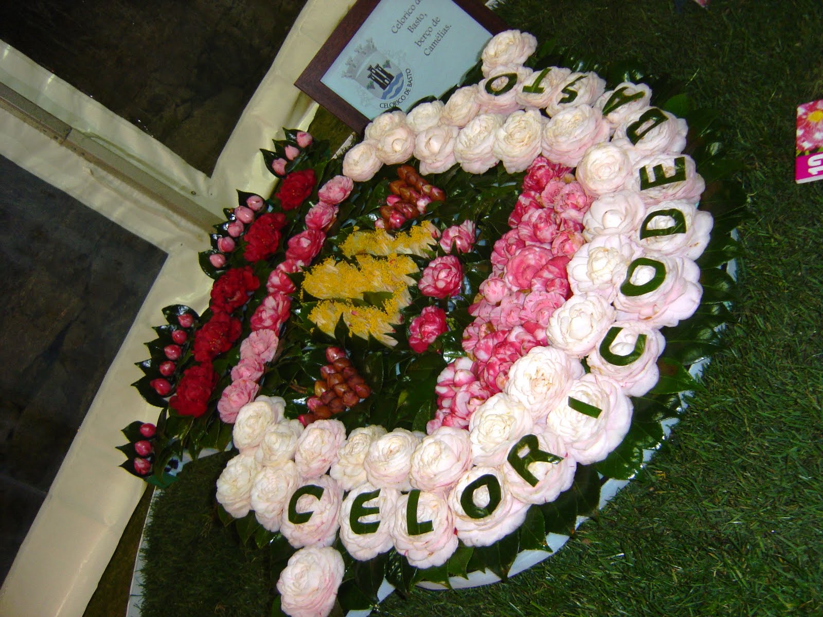 [celorico+camelias.JPG]