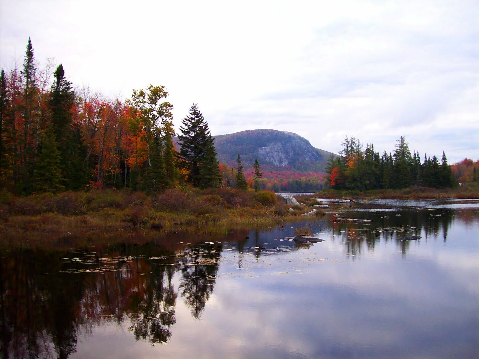 The Vermont Gardener October 2010