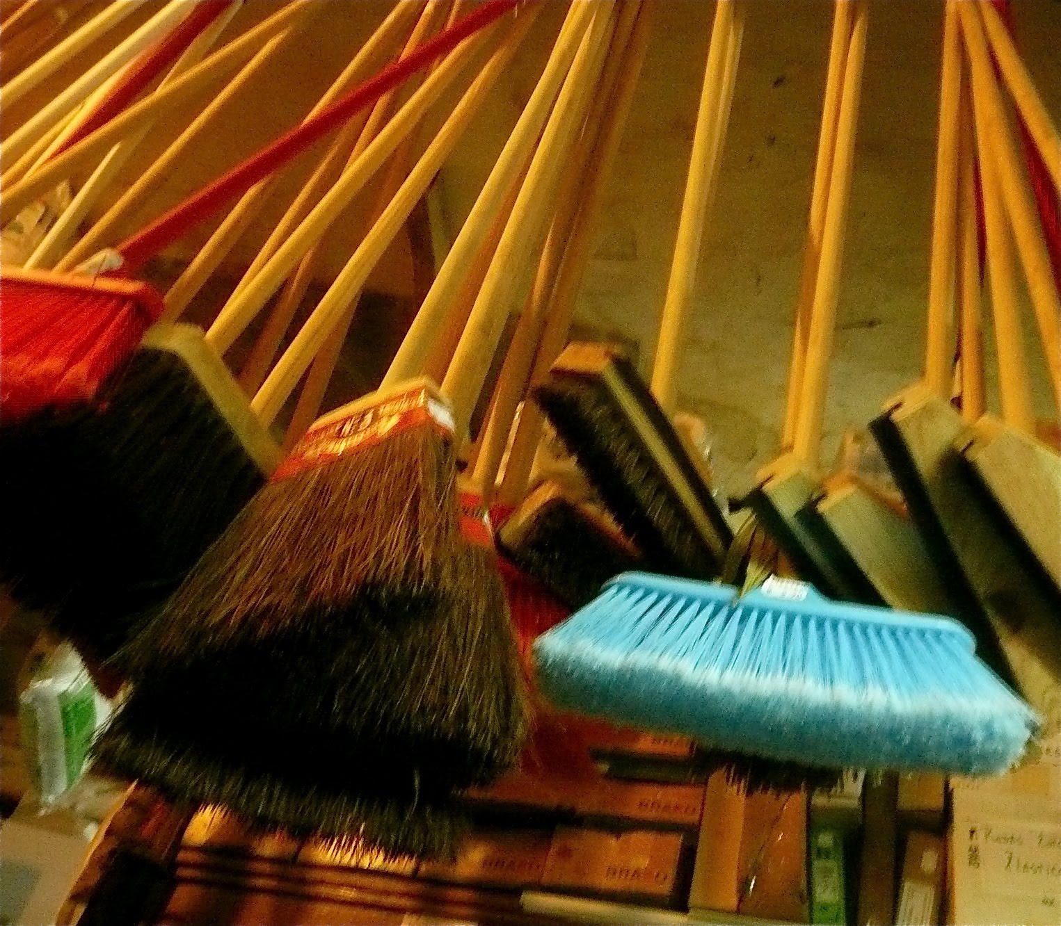[P1050946.JPG]