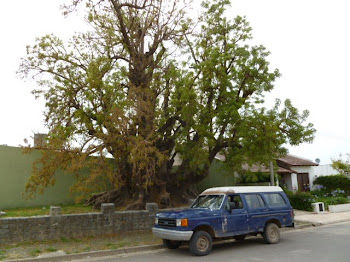 Patrimonio historico y ambiente