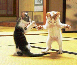 gatitos bailarines