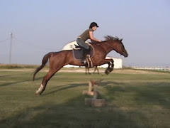 The Horsey Girl and Pretty Vegas