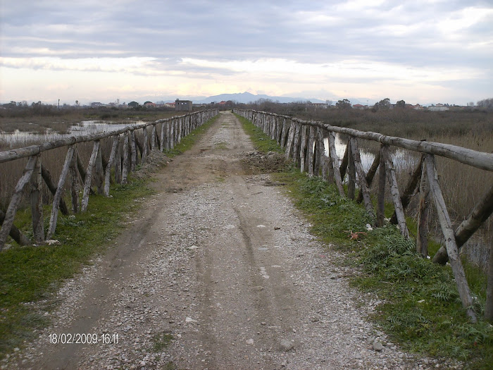 Percorso Oasi dei Variconi