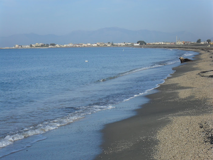 Tratto di spiaggia antistante all'Oasi dei Variconi