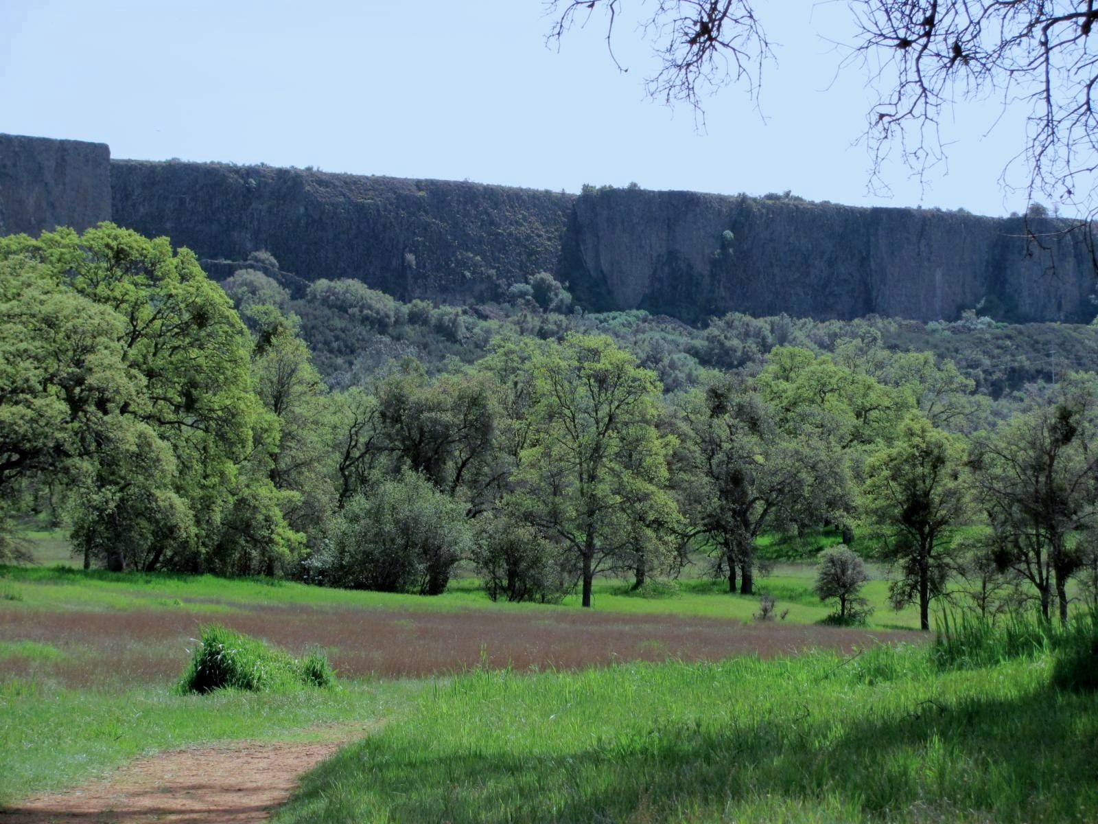 Mid Century Sonora Table Mountain