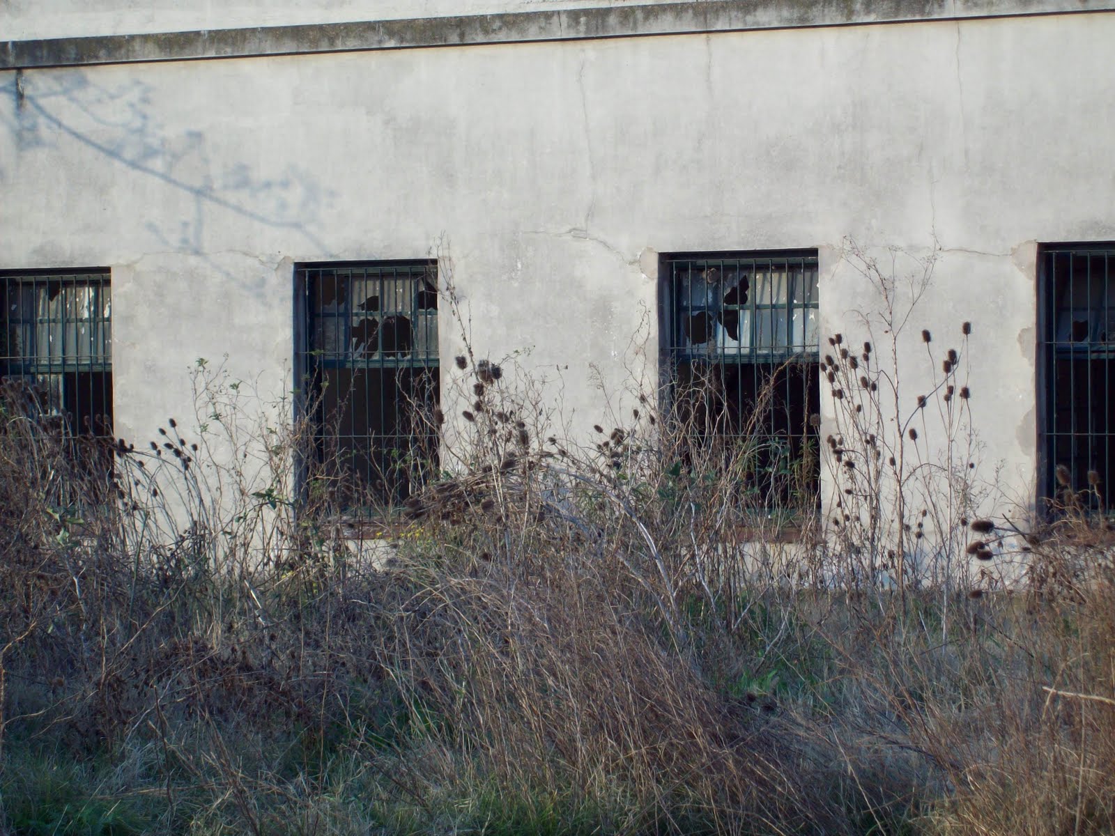 [FileImageSource000000498.JPG]