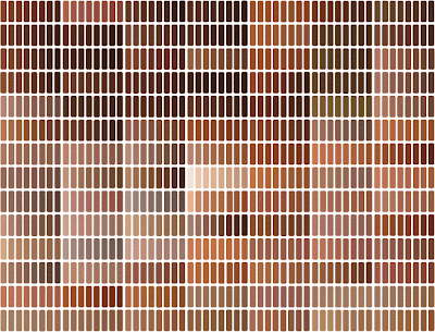 Human Skin Color: Skin Color Swatches