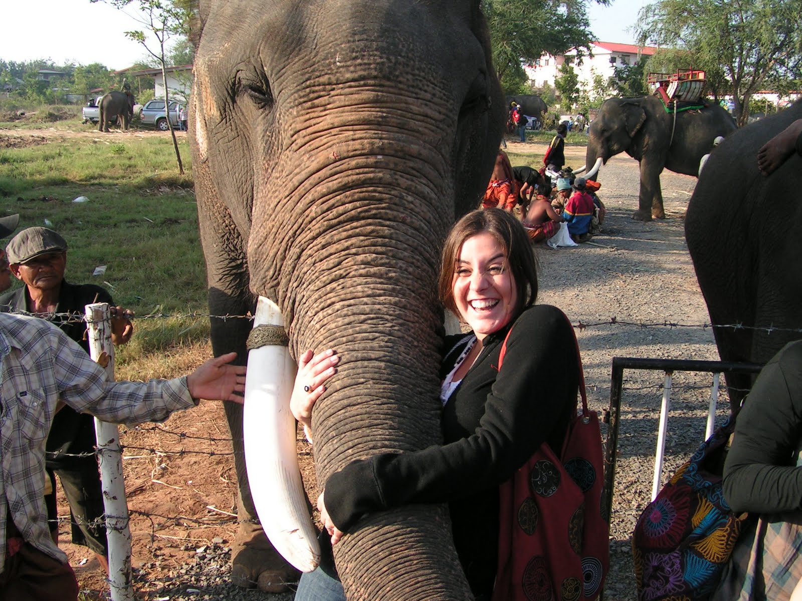 My Thai Elephants, Girl Scouts and Turkey