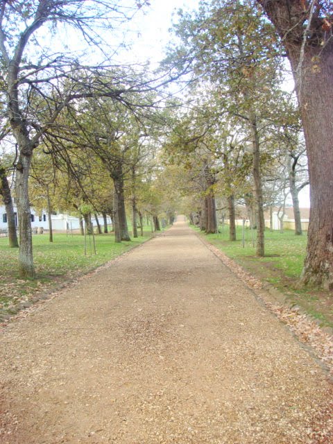 Cook County Illinois Dissolution Of Marriage