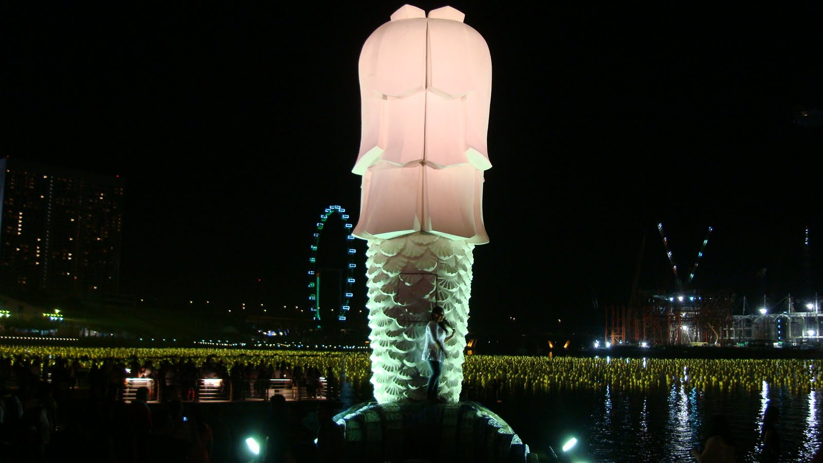 [DSC02972.JPG]