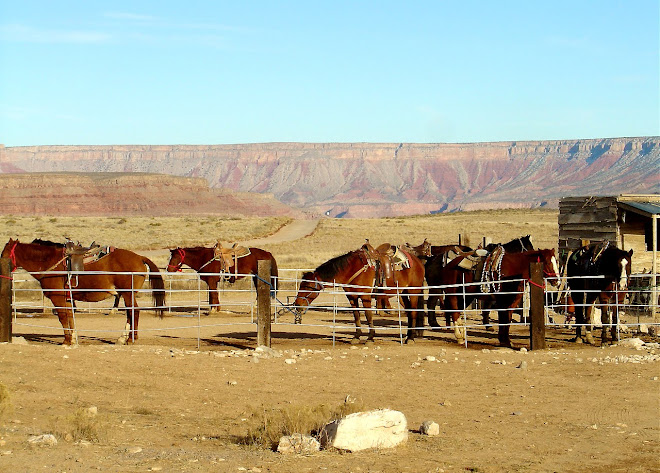 GRAND CANYON 10