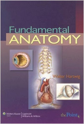 Fundamental Anatomy FUNDAMENTAL+ANATOMY