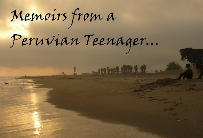 Memoirs from a Peruvian Teenager