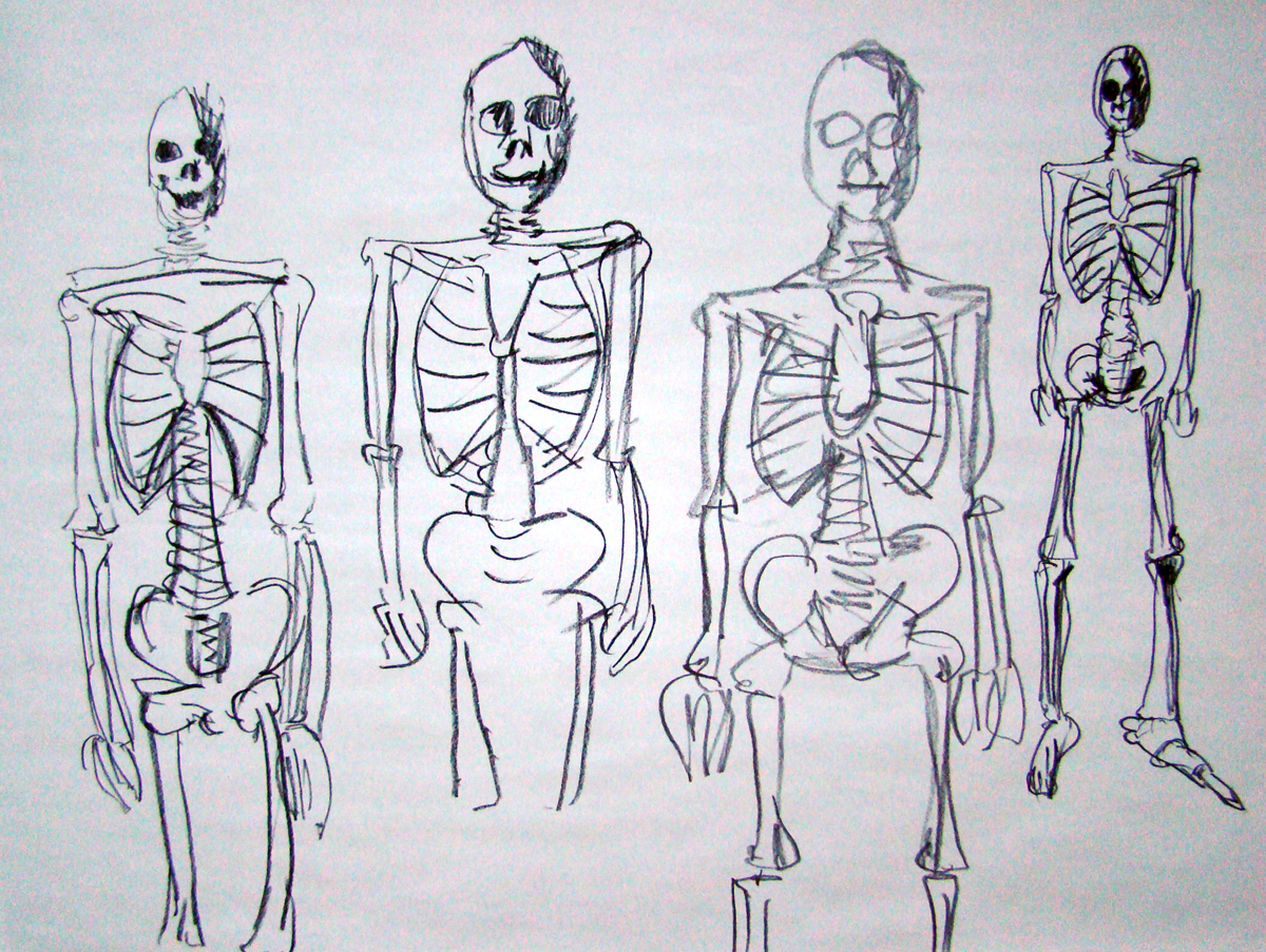 an analysis of the bones in space Air & space planet earth the research contradicts a forensic analysis of the remains in 1941 that described the bones as belonging to a male despite jantz’s skepticism about the 1941 . an analysis of the bones in space Air & space planet earth the research contradicts a forensic analysis of the remains in 1941 that described the bones as belonging to a male despite jantz’s skepticism about the 1941 .