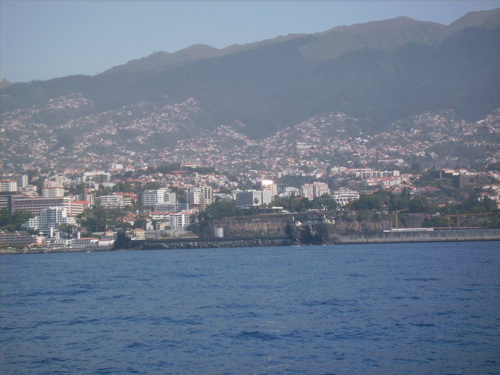 [IMG_0018.JPG]