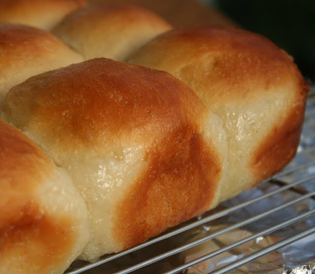 pepsakoy Pani Popo (Samoan Coconut Buns)