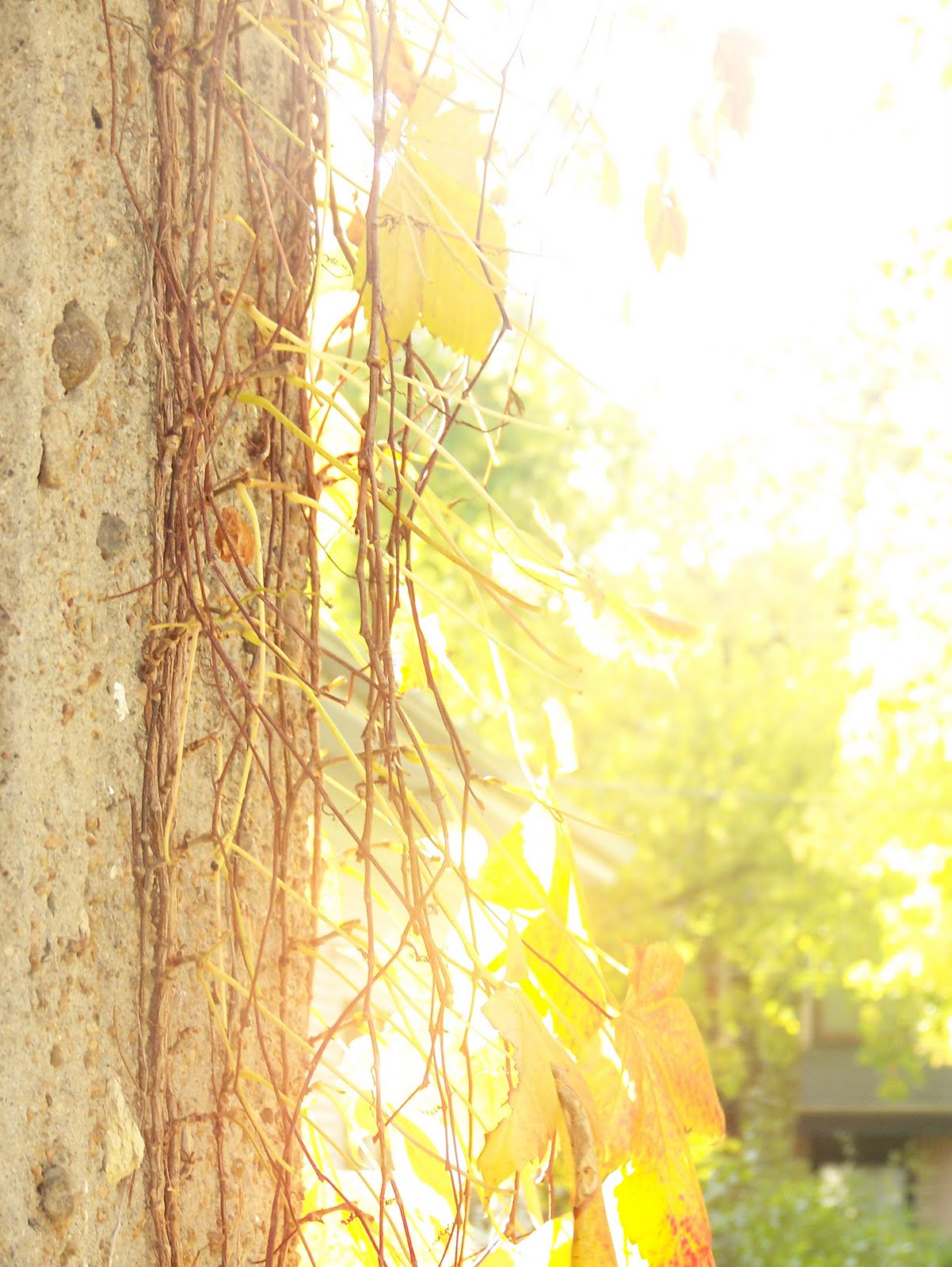 [October+2009+053.JPG]