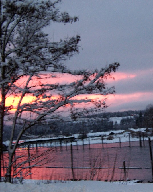 [CDA+Pink+sunset.jpg]
