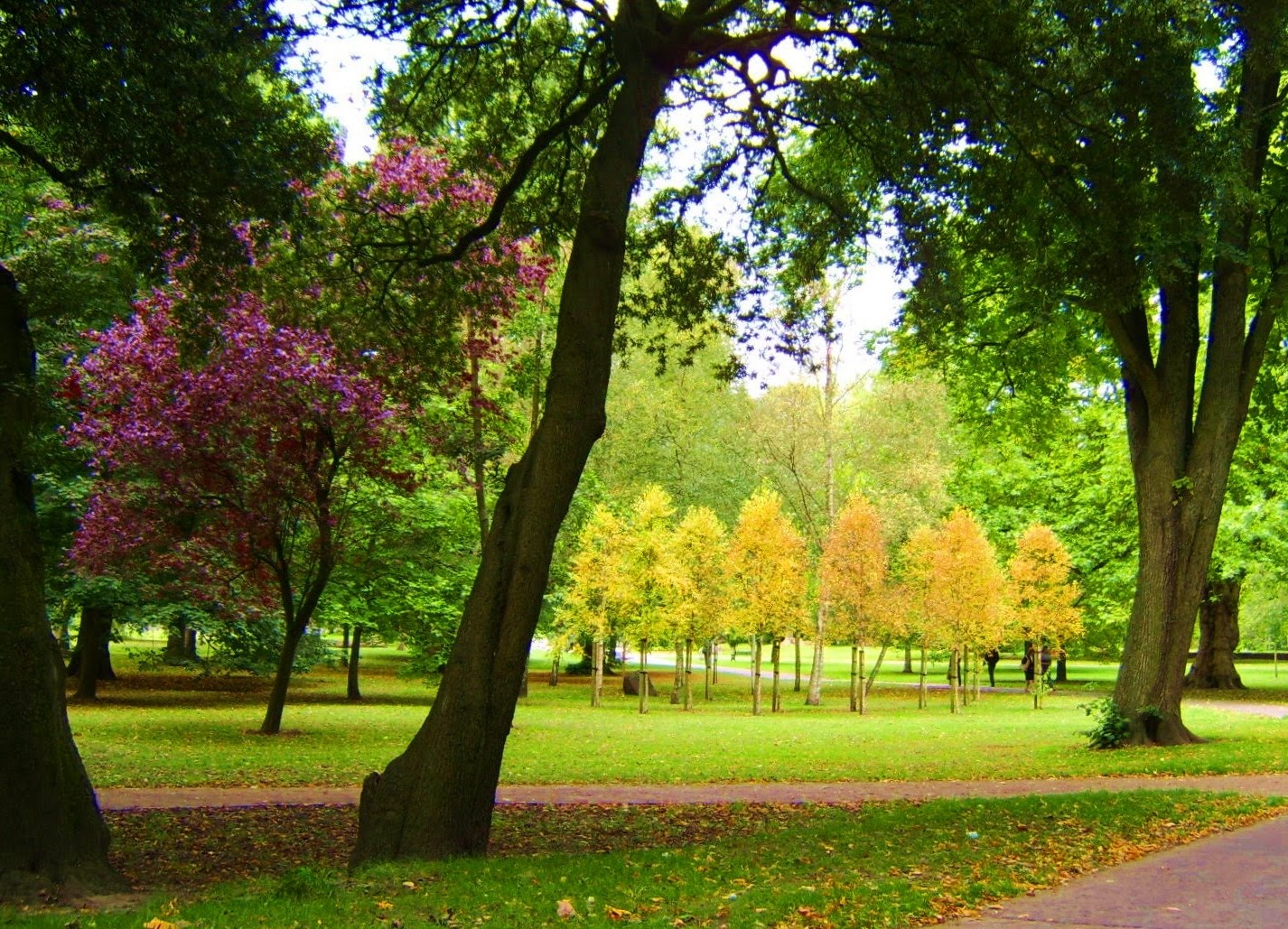 [Bute_Park,_Cardiff.jpg]