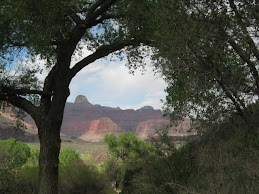 Grand Canyon 2008