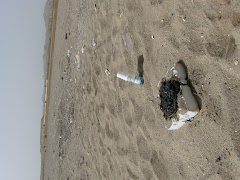 House Reef Beach