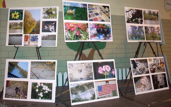 Showing off our Photos